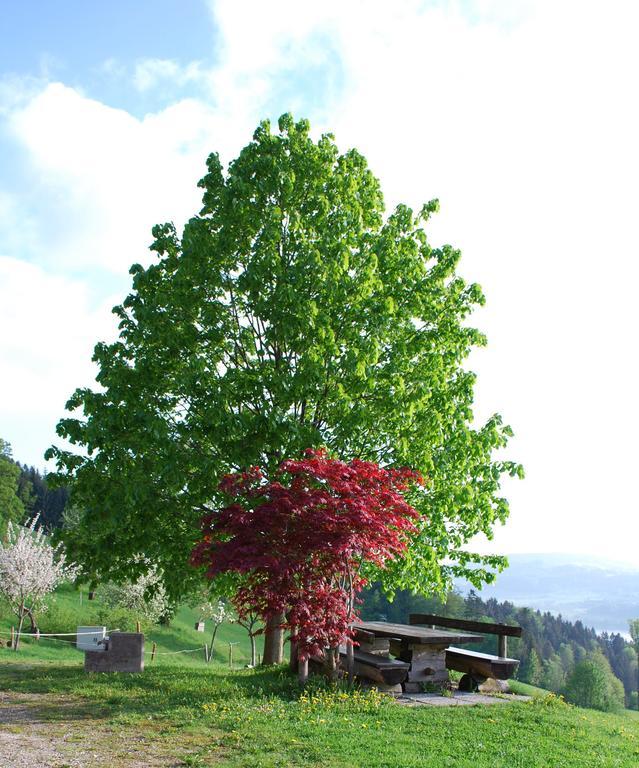 Hochsernerhof Tiefgraben Bagian luar foto